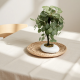 Artificial Plant